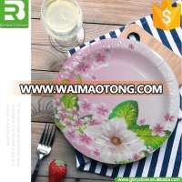 Disposable Promotional Plate and cups set Party paper plates